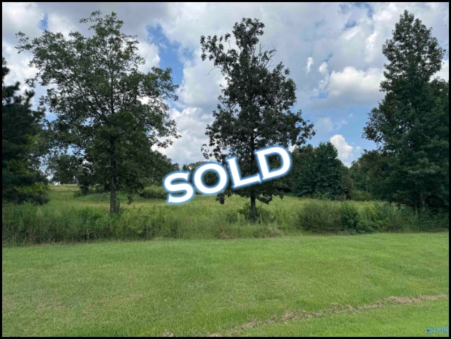 Lot for sale in Town Creek, Alabama through Apex Real Estate.