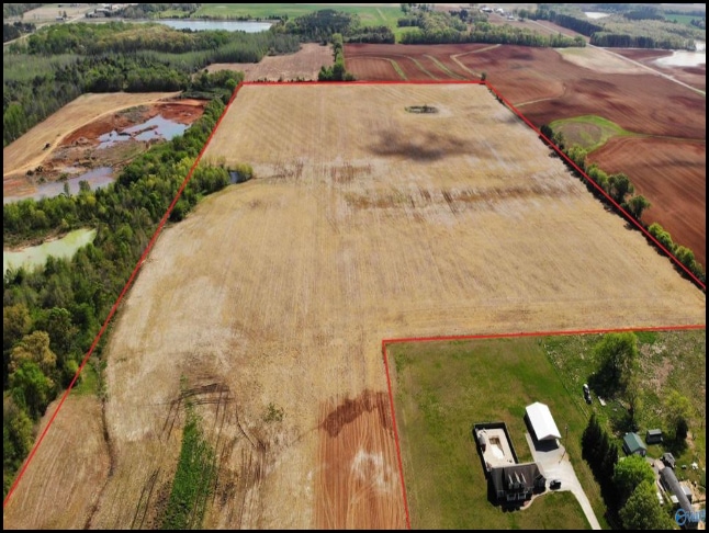 Land for sale in Leighton, Alabama through Apex Real Estate