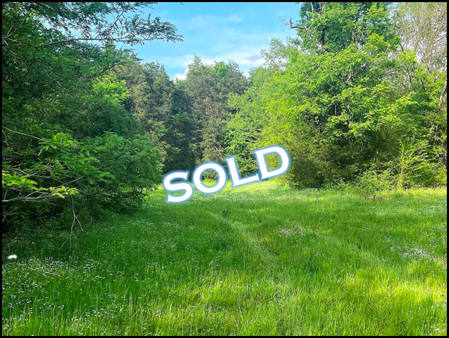 Land for sale through Apex Real Estate in Franklin Alabama