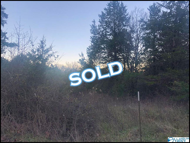 Land for sale through Apex Real Estate in Moulton